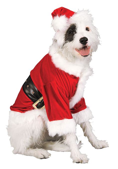 christmas dog outfits for large dogs|outfits for dogs small.